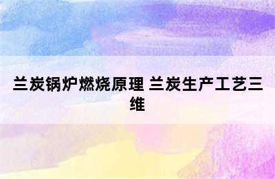 兰炭锅炉燃烧原理 兰炭生产工艺三维